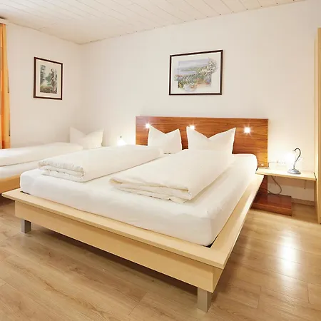 Gaestehaus Kulmer Daire Hopfgarten im Brixental